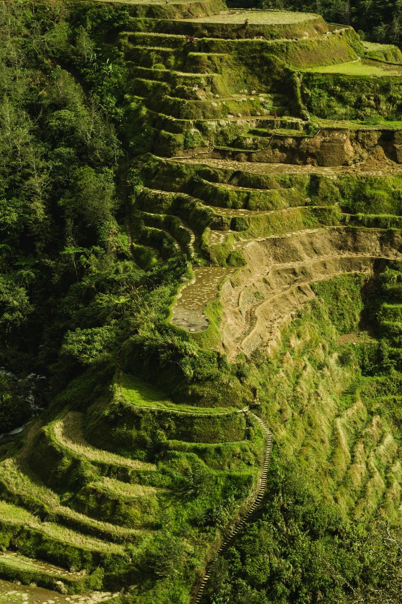 Post degli ospiti sul drone agricolo